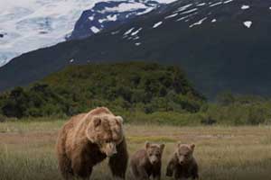 have fun in banff canaca