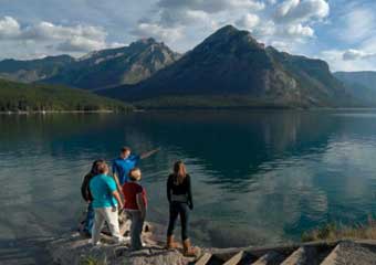 wildlife viewing in banff