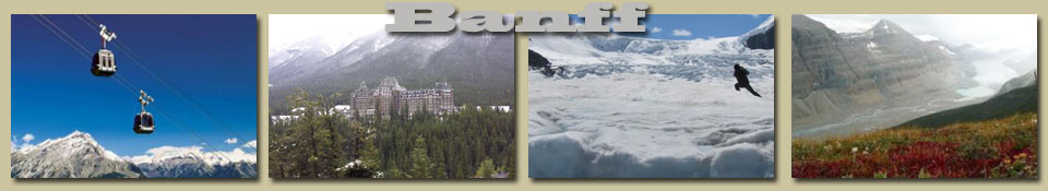 fun in  banff pet friendly