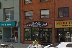 Bloor Animal Hospital. vet in Toronto, veterinarians in Toronto Canada
